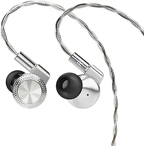 61HQZCqXJbL.__AC_SX300_SY300_QL70_FMwebp_ ARTTI T10 Pro in-Ear Monitor Review Dual Magnetic Driver Wired Earbuds