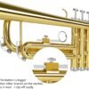 Review of EASTROCK Bb Trumpet Standard Set for Beginners and Professionals