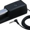 717SHMIhP9L._AC_SL1500_ Roland DP-10 Pedal Review Durable Non-Slip Design for Keyboard Enthusiasts