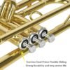 Review of EASTROCK Bb Trumpet Standard Set for Beginners and Professionals