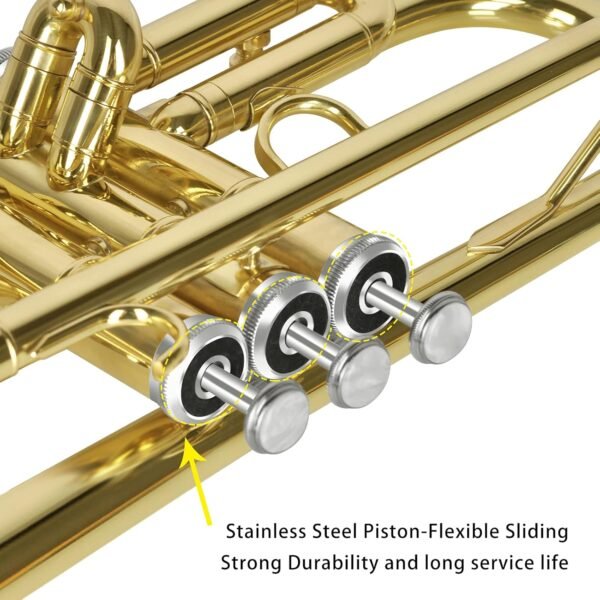 Review of EASTROCK Bb Trumpet Standard Set for Beginners and Professionals